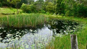 Área da propriedade