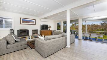 Smart TV, lareira, livros