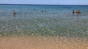 Beach - Bobo's Home 2 (Iglesias)
