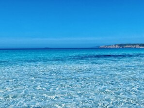 Beach - Bobo's Home 2 (Iglesias)