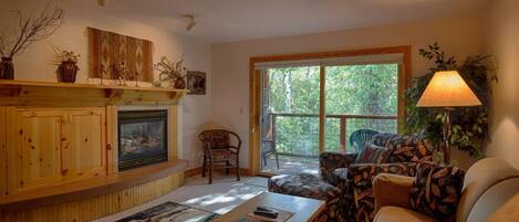 スマートテレビ、暖炉、DVD プレーヤー