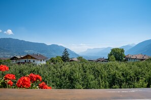 A residential area with houses, greenery, and mountains in the background.