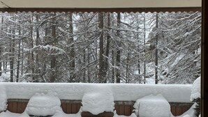 Une vue à travers une fenêtre, avec une clôture en bois recouverte de neige et des arbres en arrière-plan.