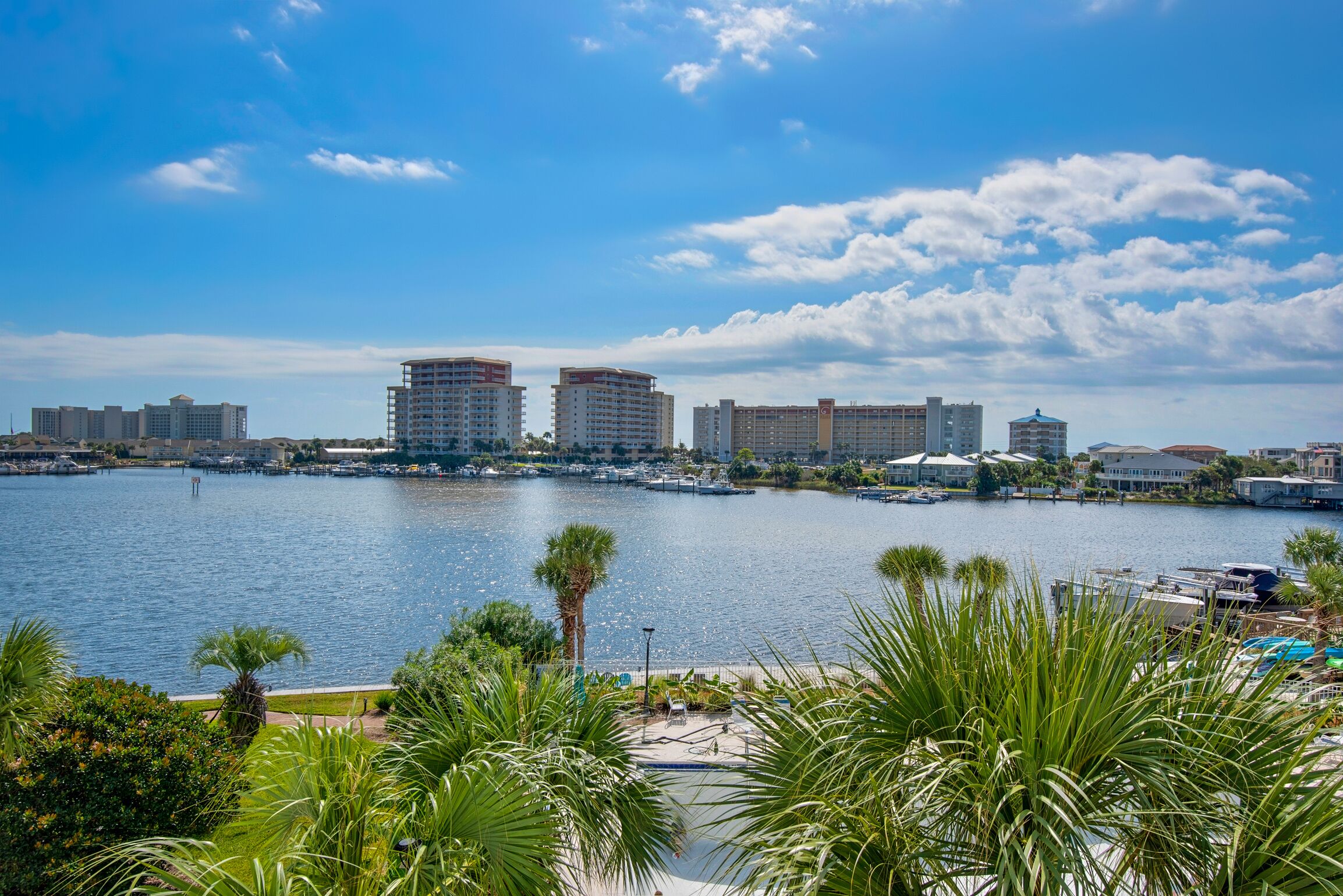A waterfront view with high-rise buildings, a marina, and a park with palm trees.