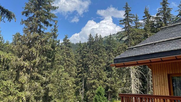 A cabin with a wooden exterior and a sloped roof, surrounded by dense forest and a clear blue sky. - 3-room apartment for 6 in Méribel Altiport, near ski slopes (Méribel)