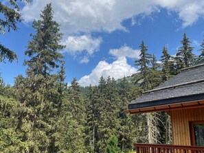 Una cabaña con fachada de madera y techo inclinado, rodeada de un bosque frondoso y un cielo azul despejado.