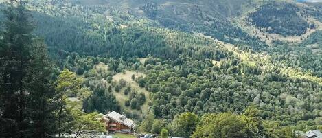 Un paisaje montañoso con una casa rodeada de denso bosque.