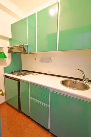 A kitchen with green cabinets, a stainless steel sink, and a built-in dishwasher.