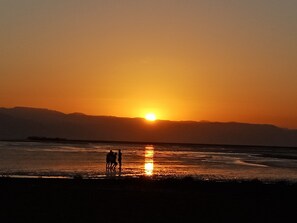 Ulkopuoli
