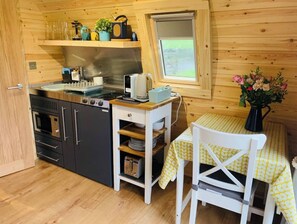 Fridge, microwave, coffee/tea maker, electric kettle - The Pod Over By (Kilmichael Glassary)