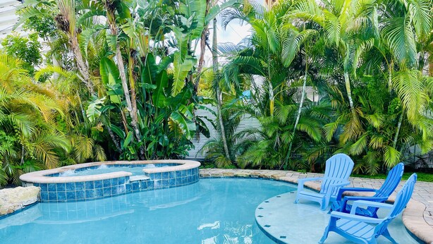 Una piscina con jacuzzi, rodeada de exuberante vegetación tropical y sillas Adirondack azules.