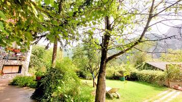 A garden with a paved path, a lawn, and a tree.