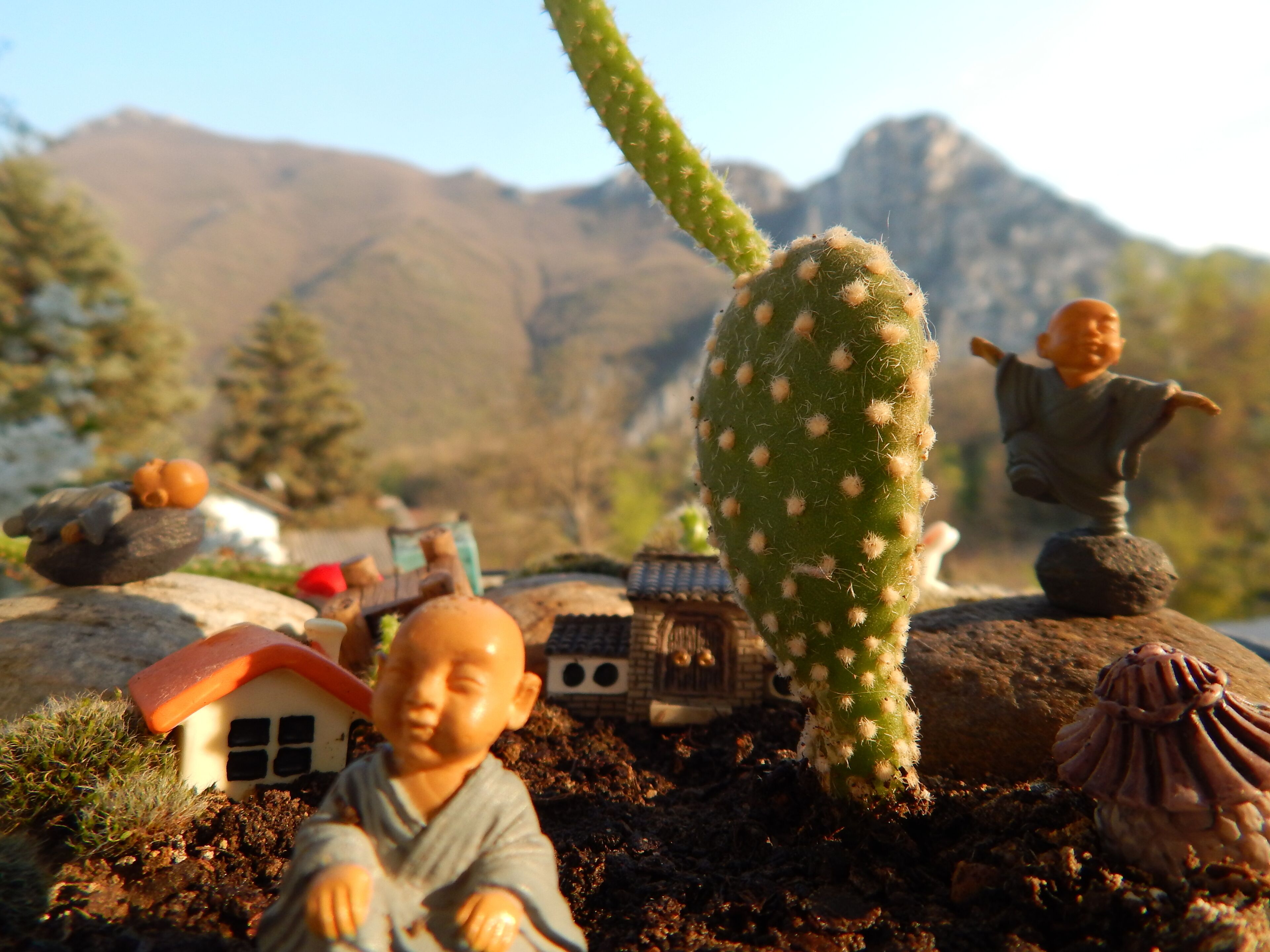 Un paisaje modelo con un cactus, figuras en miniatura y una casita.