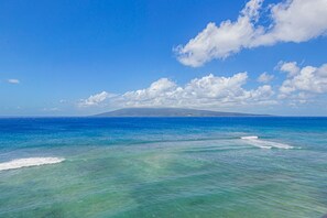 Condo, 1 Bedroom | Beach | On the beach