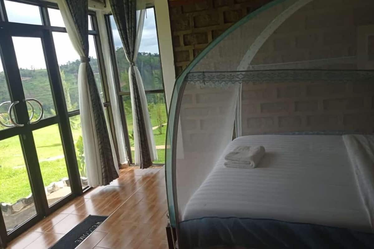 A bedroom with a glass bed frame, a view of a green landscape through large windows, and a wooden floor.