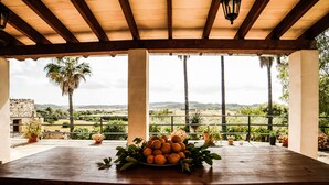 Una mesa de madera con un plato de naranjas y hojas, bajo una pérgola de madera que da a un paisaje verde.