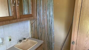 Combined shower/bathtub, toilet paper