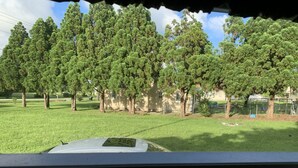 Vista dall'interno di un veicolo, su una zona erbosa con diversi alberi e un'area recintata sullo sfondo.