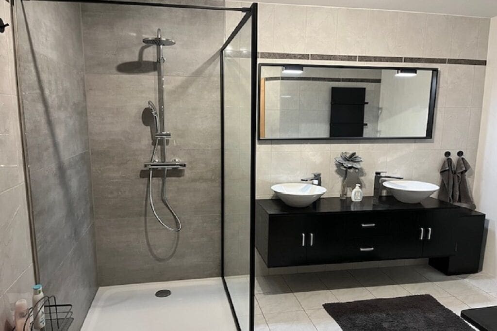 Regadera, secadora de cabello, toallas, papel de baño 