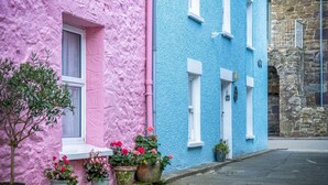 A street view with two buildings, one pink and one blue, with flower pots in front. - Caleb's Cottage - 4 Bedroom Cottage - Solva (Haverfordwest)