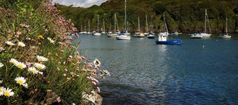 Caleb's Cottage - 4 Bedroom Cottage - Solva