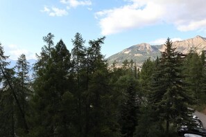 A mountainous landscape with dense coniferous trees and a parking area in the foreground.
