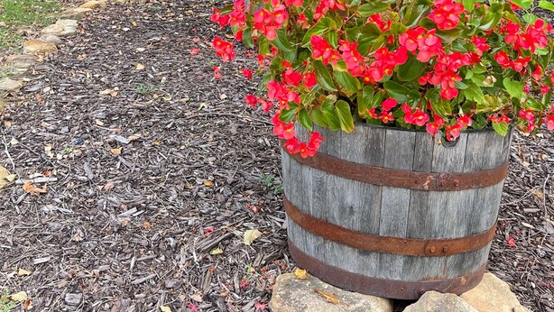 Une maison avec un porche, un grand bac à fleurs rempli de fleurs rouges et une boîte aux lettres.