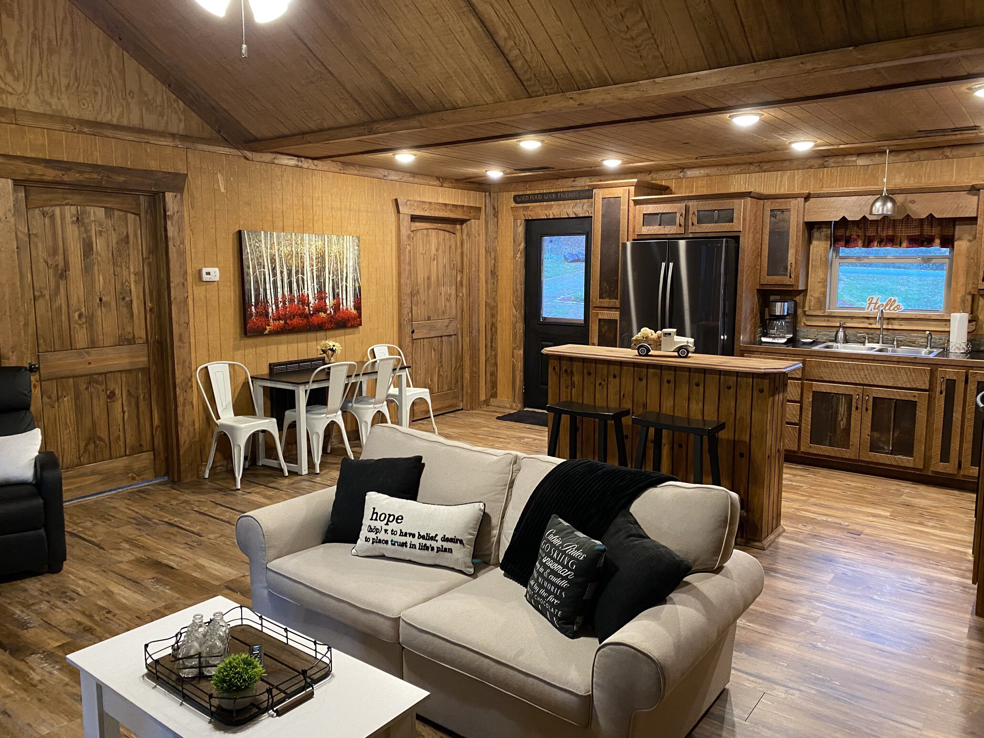 TV connectée, cheminée, lecteur de DVD, chaîne hi-fi