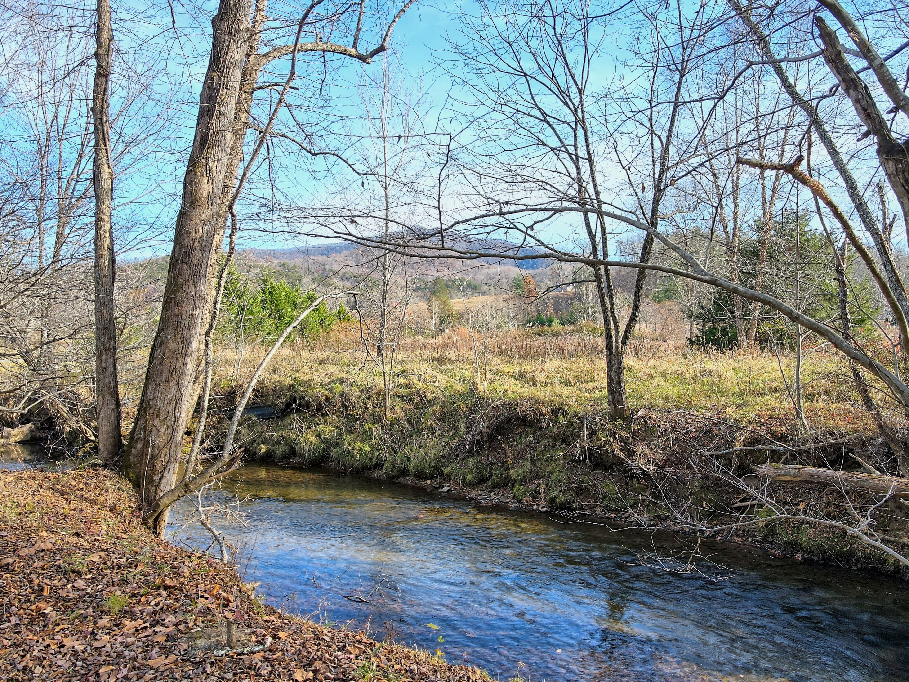 A clear stream surrounded by trees and a grassy field.