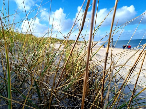 Apartment (Ferienwohnung Selent Familie Sikora) | Außenbereich