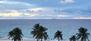 Uma praia com palmeiras e um navio ao longe.