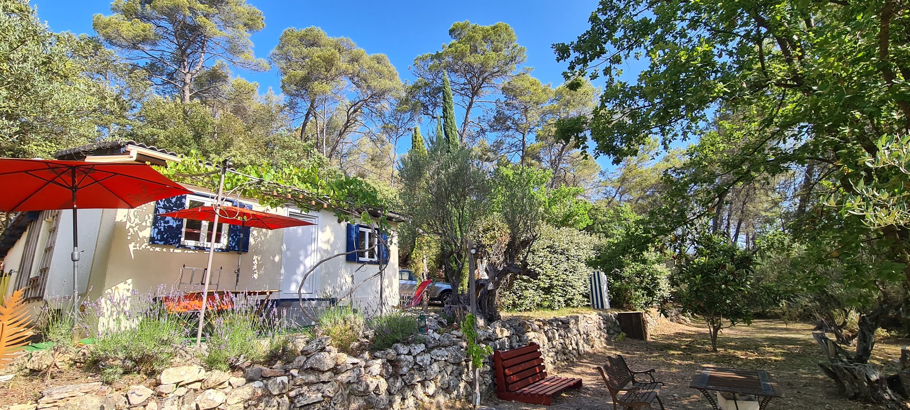 Uma cabana rústica com um guarda-sol vermelho, parede de pedra e bancos de madeira numa área arborizada.