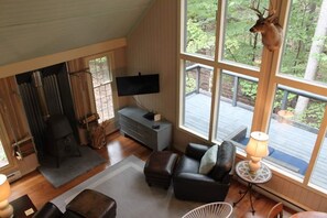 Smart TV, fireplace, books