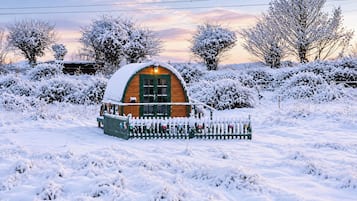 Una cabaña de madera cubierta de nieve con una puerta verde y ventanas, rodeada de arbustos y árboles cargados de nieve.