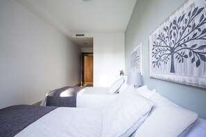 3 slaapkamers, een strijkplank/strijkijzer, gratis wifi, beddengoed