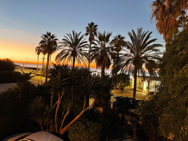 A sunset view with palm trees and a beach in the background.