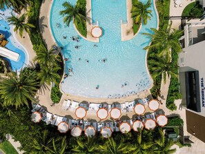 An aerial view of a resort pool area with multiple lounge chairs and umbrellas, surrounded by palm trees.
