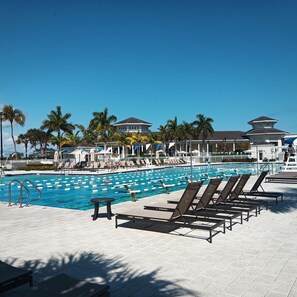 Relax by the pool, surrounded by lounge chairs and shaded by palm trees.