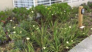 Family Apartment | View from room