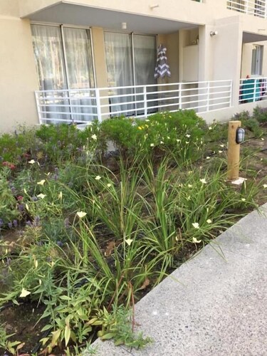 Departamento con piscina en Algarrobo