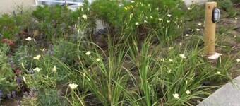 Departamento con piscina en Algarrobo