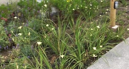 Departamento con piscina en Algarrobo