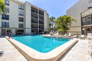A rectangular pool with clear blue water, surrounded by lounge chairs and a palm tree.