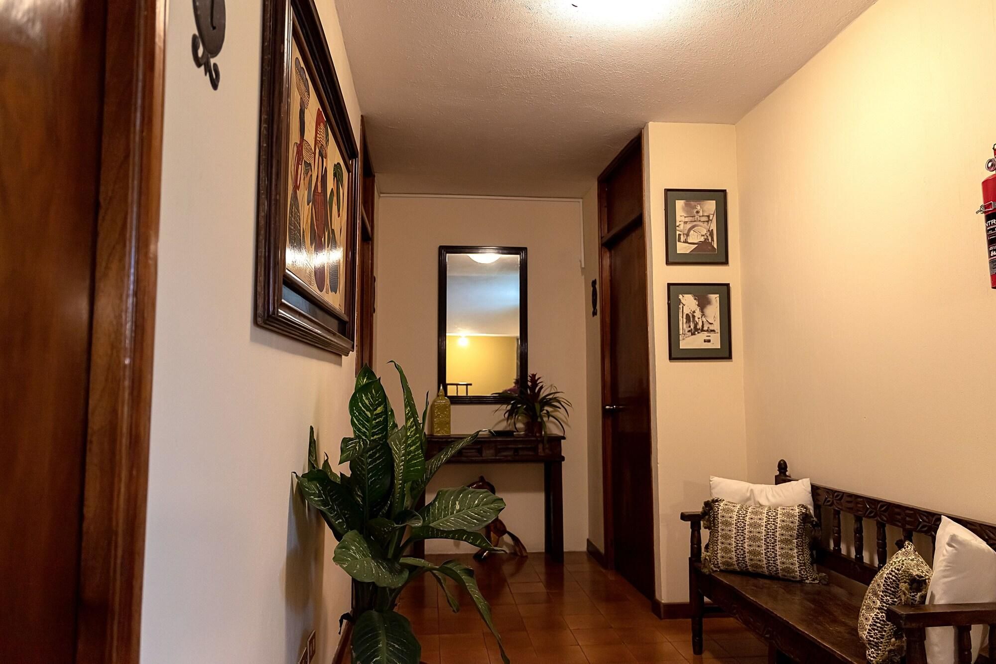 A hallway with a wooden bench, a potted plant, and framed pictures on the walls.