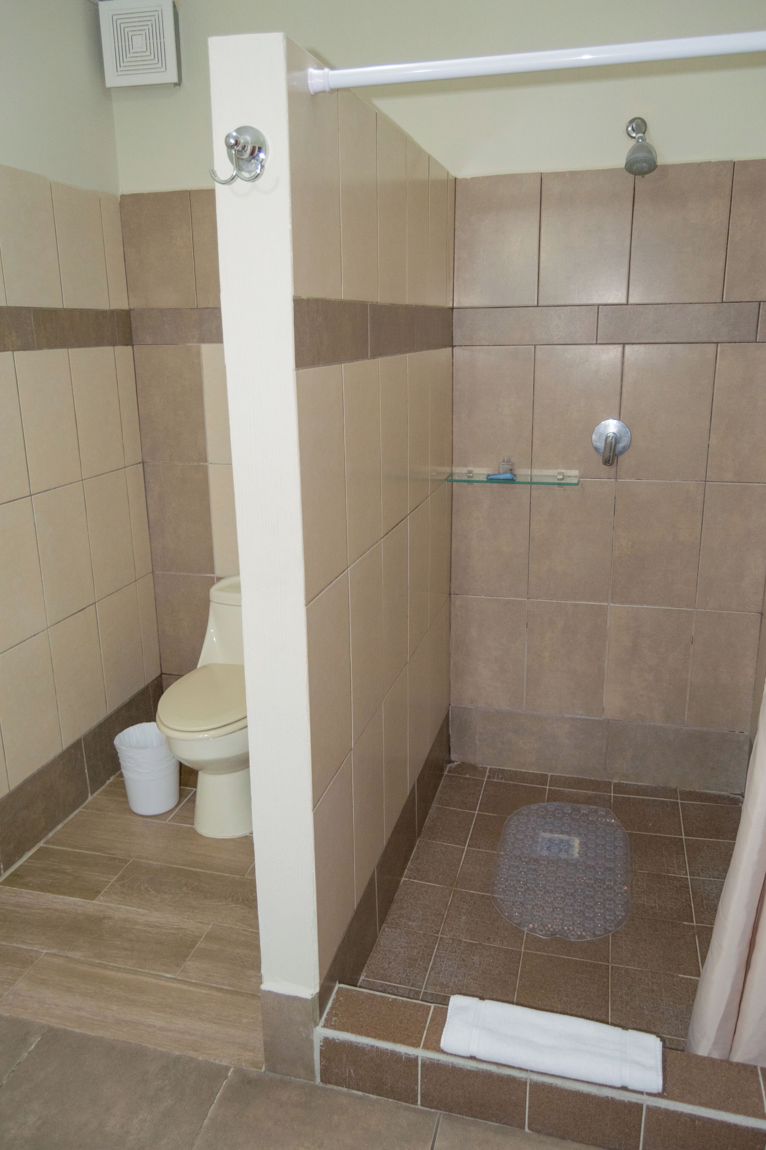A bathroom with a shower, toilet, and a glass shelf.