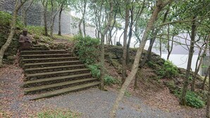 Eine steile Steintreppe führt einen Hügel hinauf, umgeben von Bäumen und Vegetation.