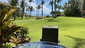 A glass table with a chair, a well-maintained lawn, and palm trees in the background.