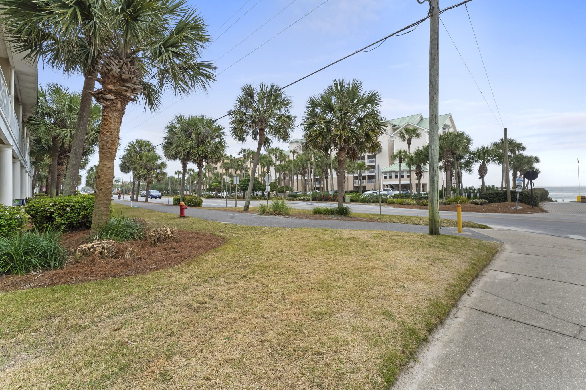 A street lined with palm trees and a building with a green roof.