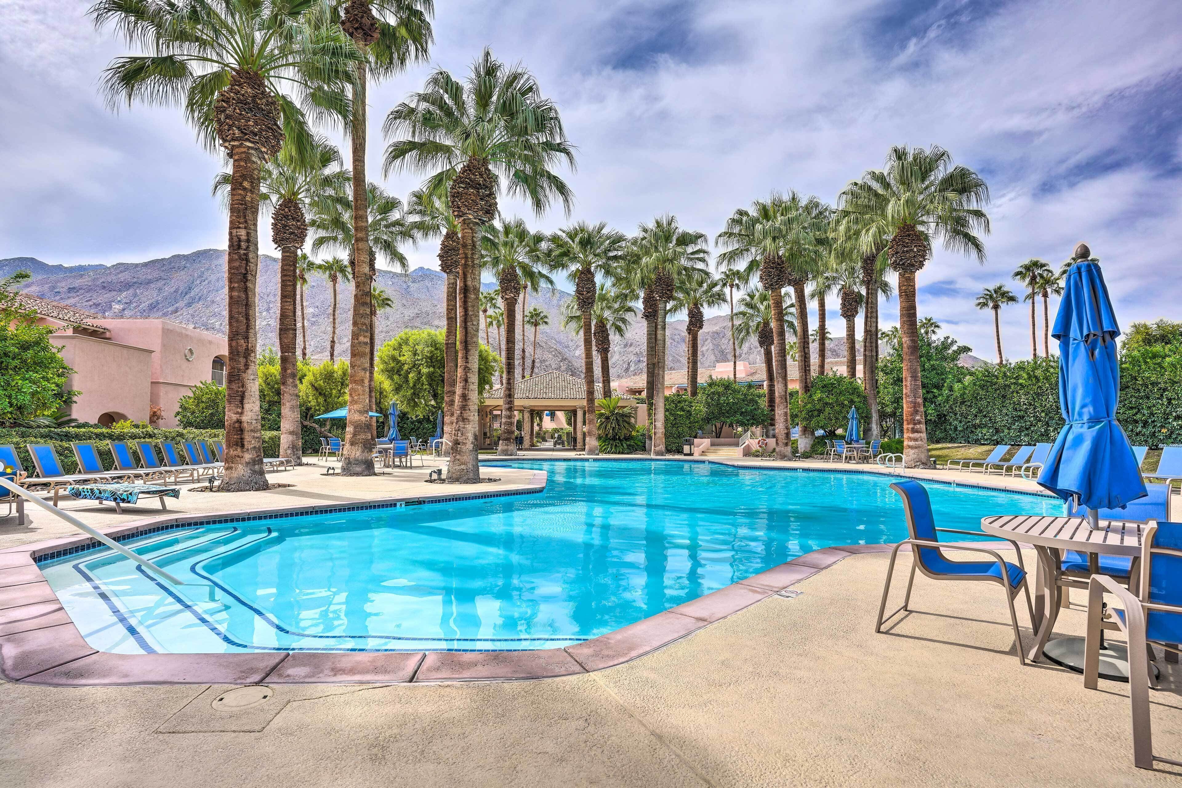 A swimming pool with palm trees, lounge chairs, and a mountain backdrop.