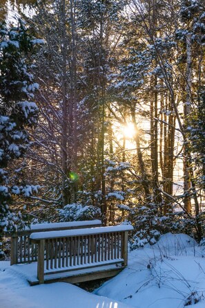Property grounds - Ski on Ski Off & Newly Renovated! 30 feet to covered magic carpet at Carinthia. (Dover)